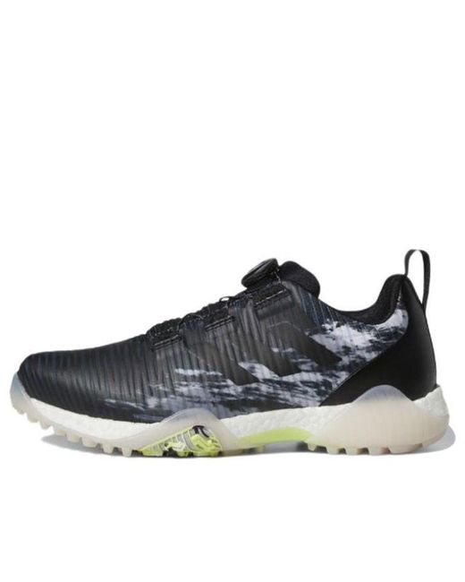 Adidas Blue Codechaos Boa Low for men