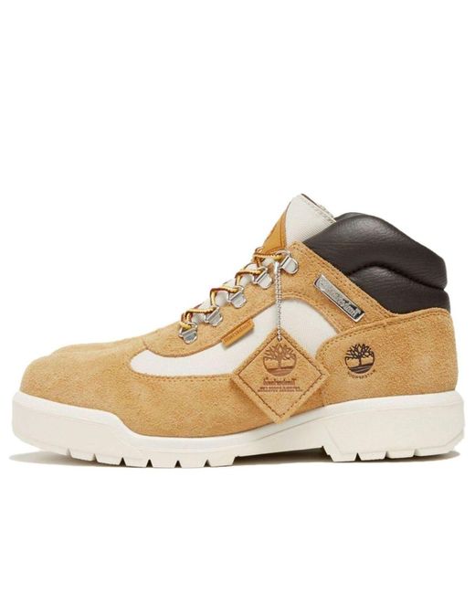 Timberland Natural Field Waterproof Boots for men