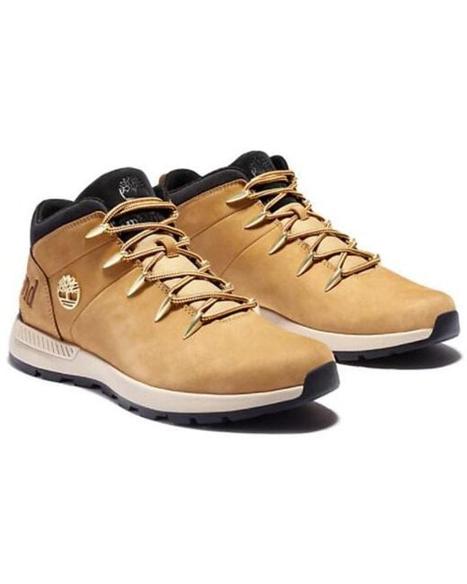 Timberland Brown Sprint Trekker Hiking Boot for men