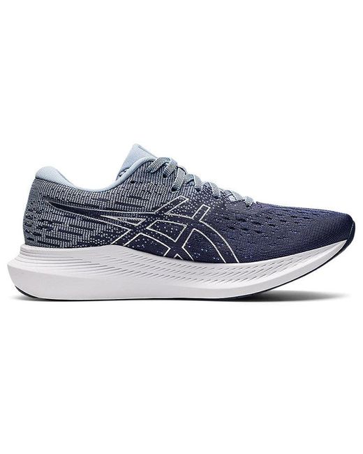 asic evoride 2
