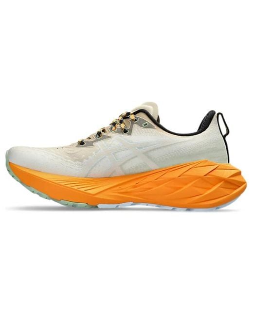 Asics Natural Novablast 4 Tr 'Nature Bathing Fellow' for men