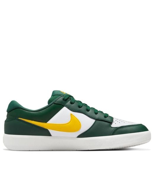 Nike Blue Force 58 Sb Premium 'Gorge Tour' for men