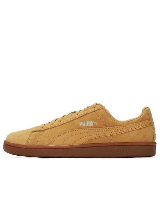 PUMA Brown Up Sl Sneakers Brwon for men