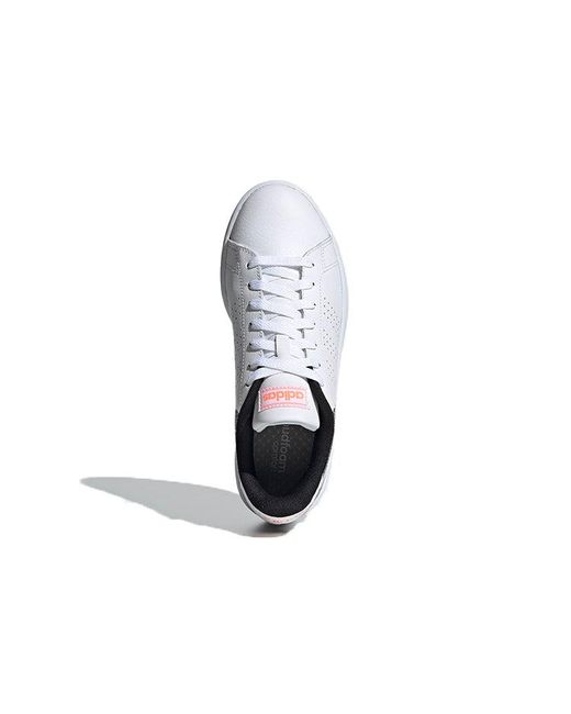 Adidas White (Wmns) Advantage