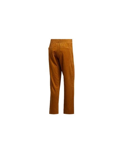 Adidas Brown Originals Corduroy Loose Sports Straight Casual Pants/Trousers for men
