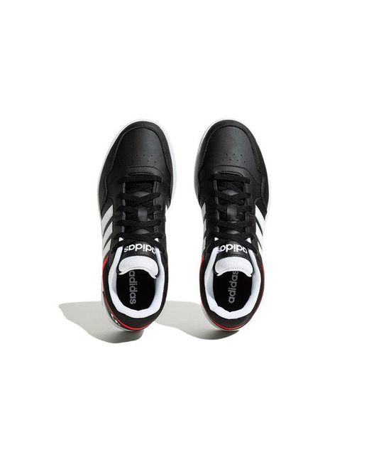 Adidas Multicolor Neo Hoops 3.0 for men