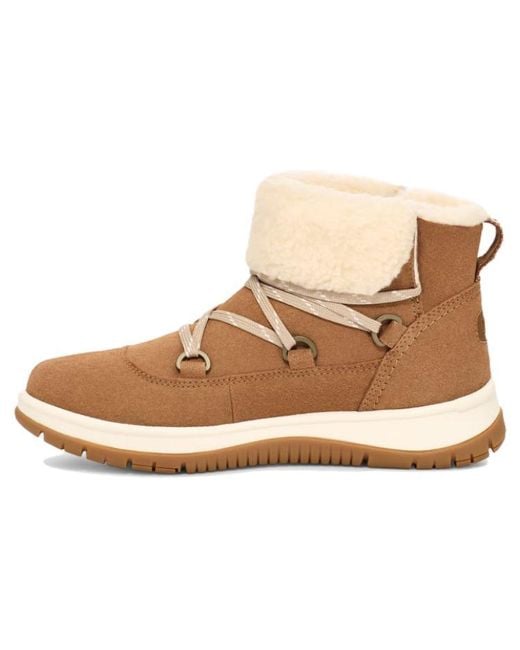 Ugg Natural (Wmns) Lakesider Heritage Lace 'Chestnut'