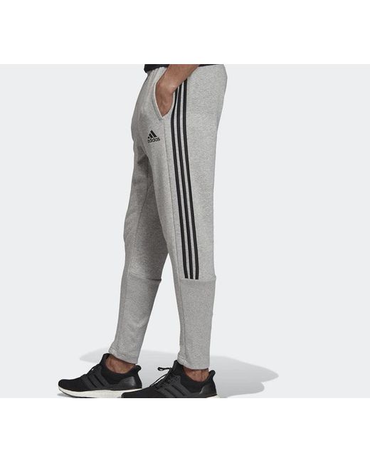 Adidas Gray Stripe Training Sports Long Pants for men