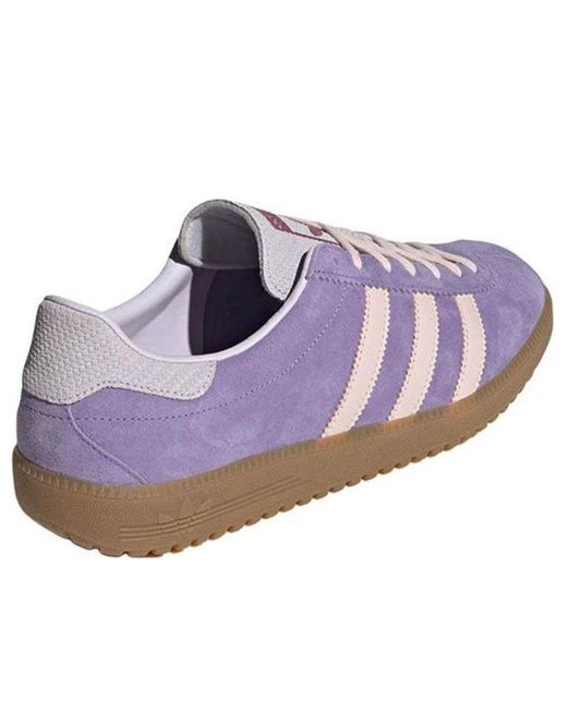 Adidas Purple Bermuda for men