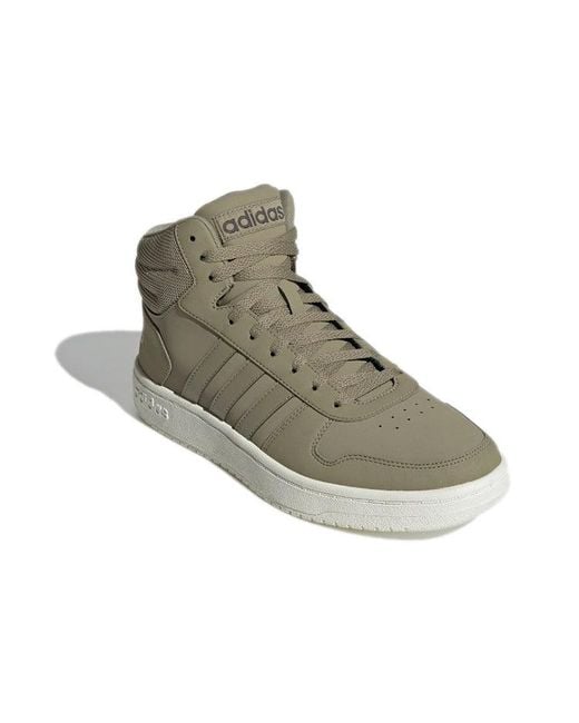 Adidas Brown Hoops 2.0 Mid for men