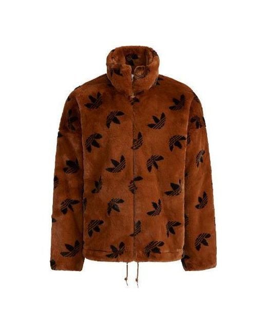 Adidas Brown Originals Logo Stand Collar Sports Jacket International Size