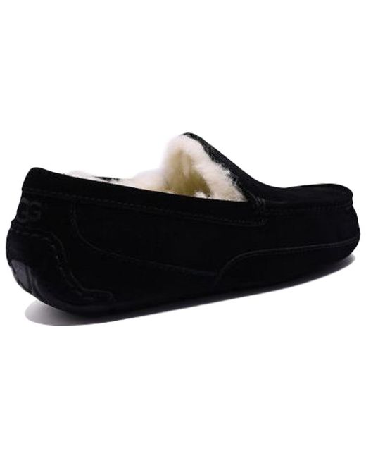 Ugg Black Ascot for men