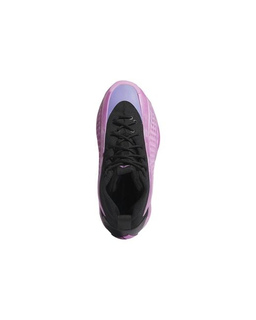 Adidas Purple Ae 1 'Preloved' for men