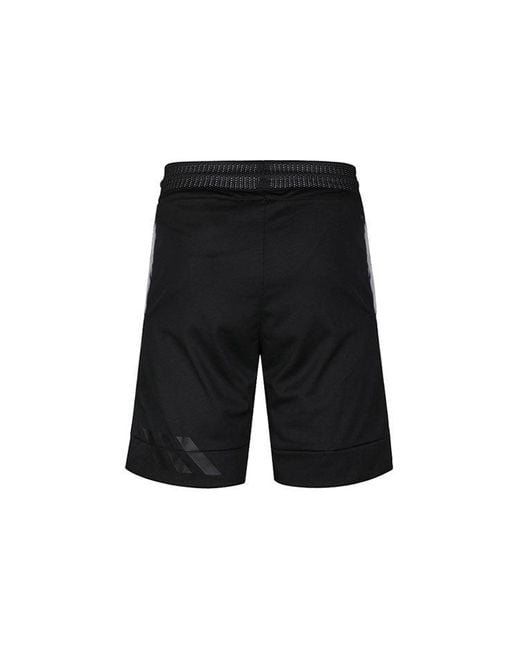 Adidas Black Hrd C365 Slogan Basketball Shorts for men