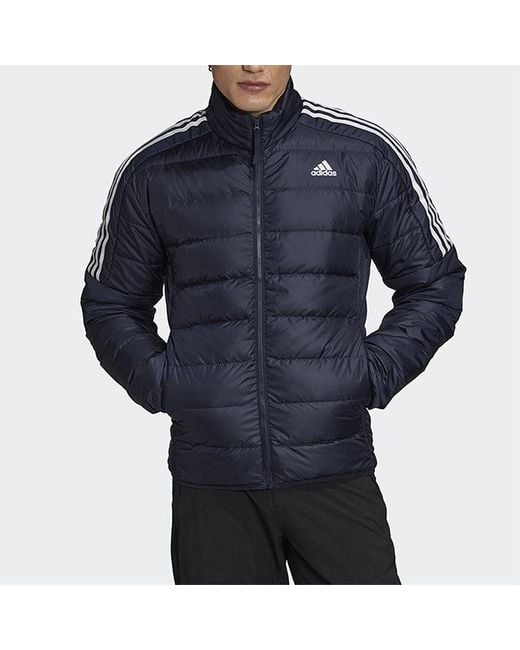 Adidas Blue Ess Down Logo Print, Warm, Casual Down Jacket Legendary Ink for men