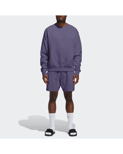 Adidas Purple X Pharrell Basics Crew Sweatshirt
