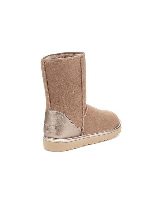 Ugg Brown (Wmns) Classic Short Shine