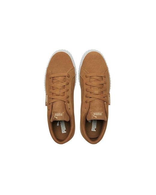 PUMA Brown Ever Lopro Sd Casual Skateboarding Shoes for men