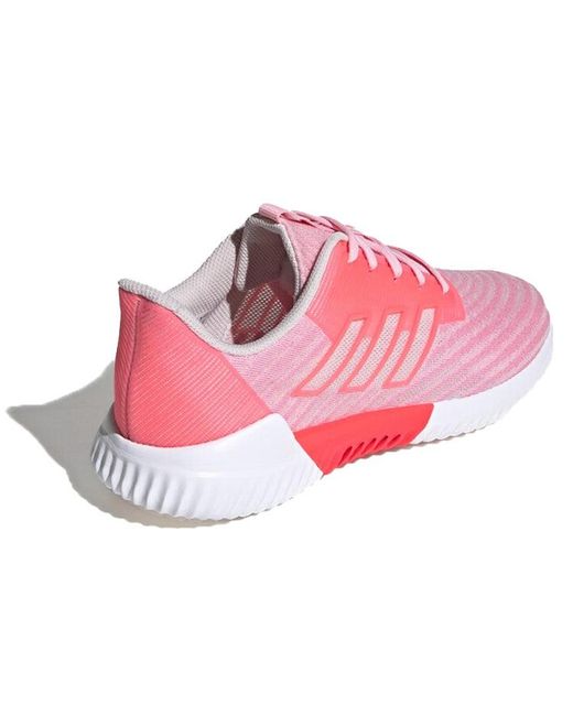 Adidas Pink (Wmns) Climacool 2.0