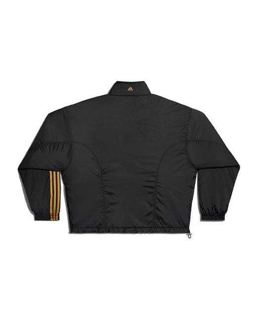 Adidas Black X Ivy Park Stand Collar Jacket