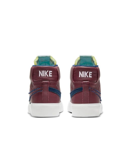Nike Brown Zoom Blazer Mid Edge Sb 'Team' for men