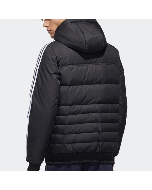 Adidas Blue Neo Sprt Dwn Puff Hooded Down Jacket for men