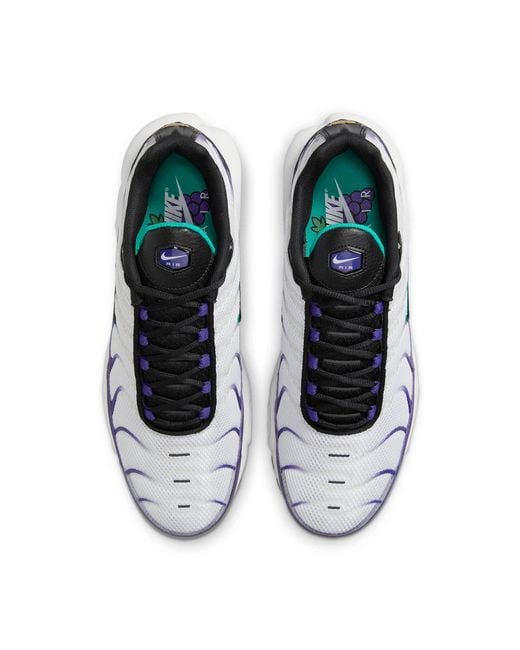 Nike Blue Air Max Plus 'Grape' for men