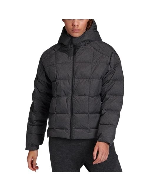 Adidas Gray Z.N.E Down Hooded Jacket for men