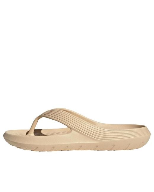 Adidas Natural Adicane Flip Flop 'Sand Strata'