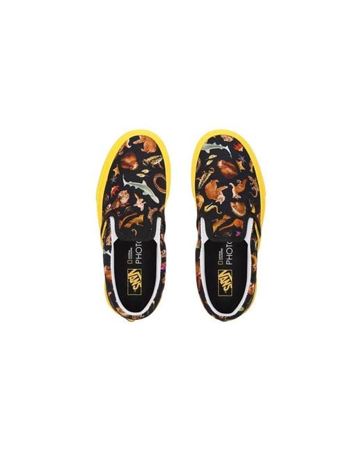 Vans Yellow X National Geographic Classic Slip-On Kids for men