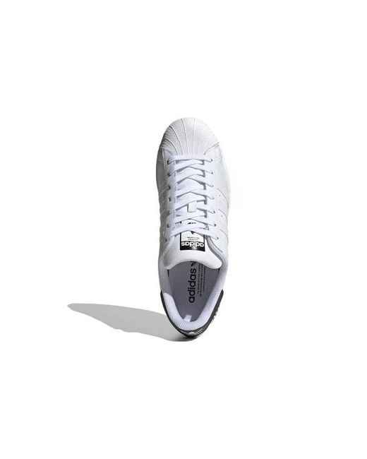 Adidas White Superstar 'Varsity Pack for men