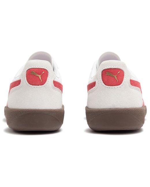 PUMA White Palermo Leather Club' for men