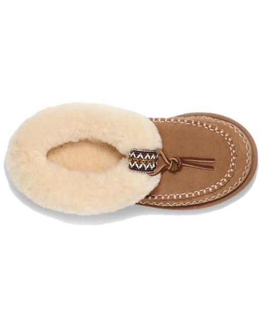 Ugg Brown (Wmns) Tasman Alpine 'Chestnut'