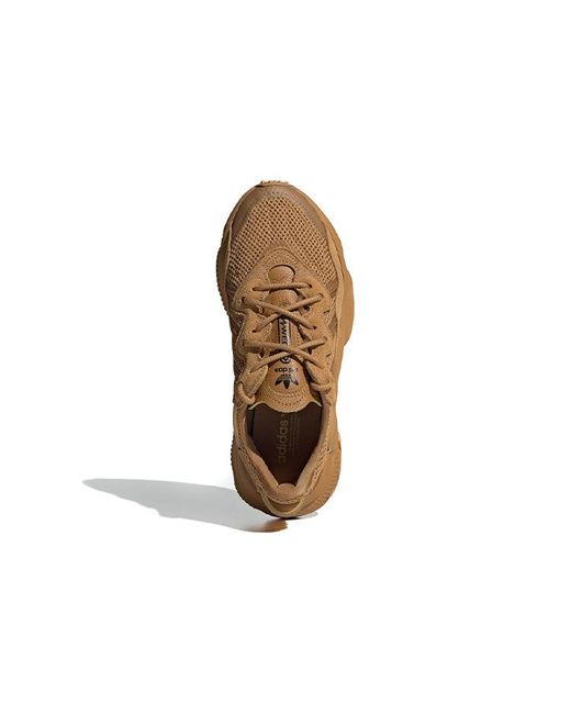Adidas Brown Originals Ozweego
