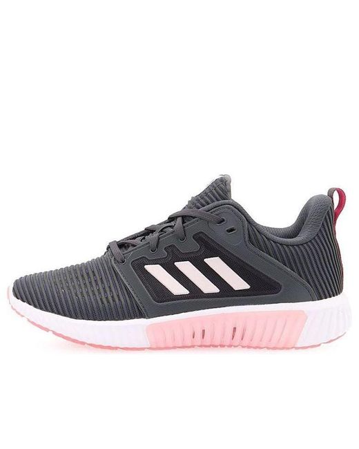 Adidas Blue (Wmns) Climacool Vent W