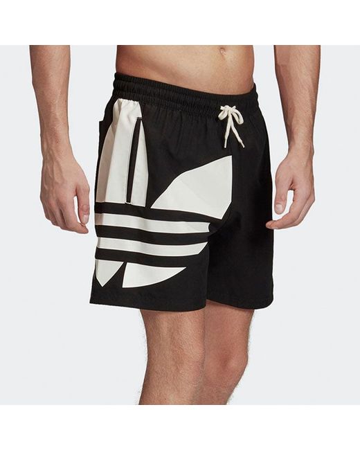 Adidas Black Trefoil Swim Shorts for men