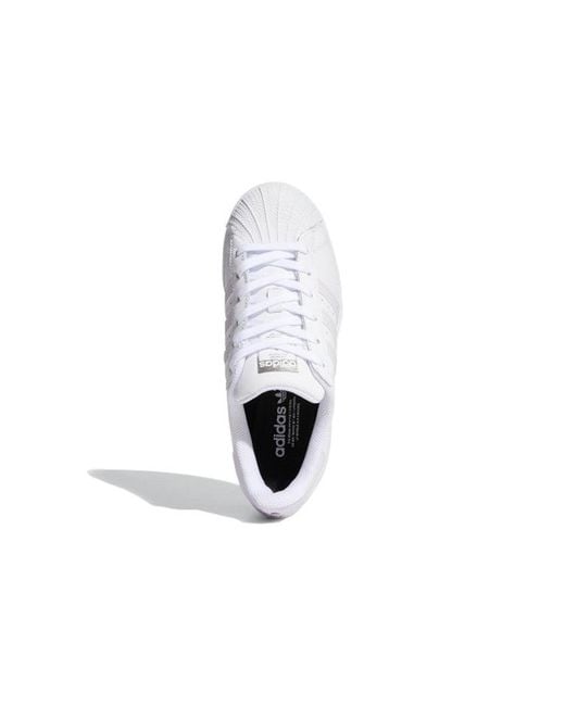 Adidas White (Wmns) Superstar Tint'