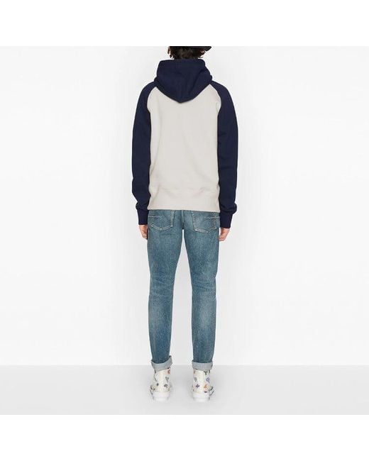 Dior Blue X Peter Doig Fw21 Logo Long-Sleeved for men