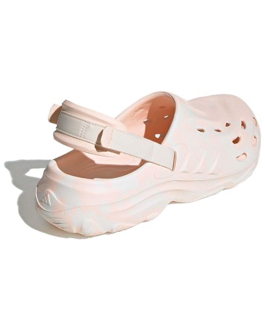 Adidas Pink Maxxclog Sandals for men