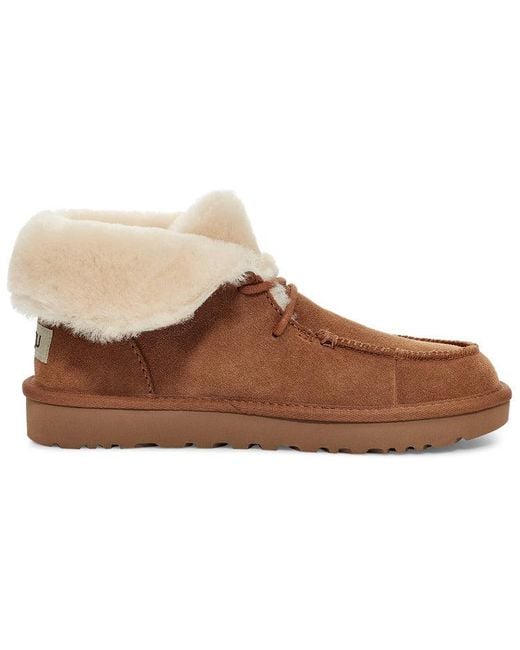 Ugg Brown (Wmns) Diara Lacing Fleece Lined