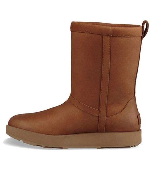 Ugg Brown (Wmns) Classic Short Leather 'Chestnut'