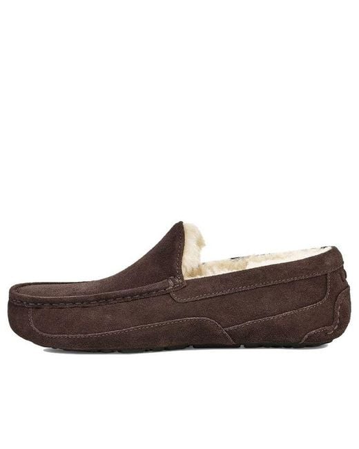 Ugg Brown Ascot Slipper Cozy Athleisure Casual Sports Shoe Fleece Lined for men