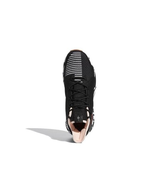 Adidas Black D Rose 9 'Zebra' for men