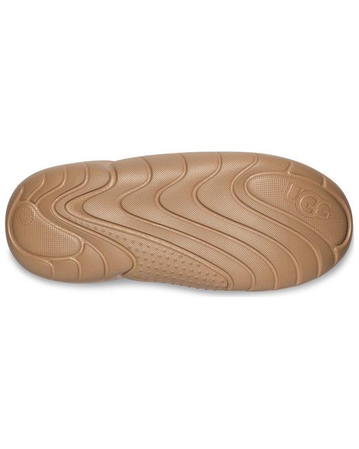 Ugg Brown (Wmns) La Alto Lace Outdoor 'Shaded Clover'