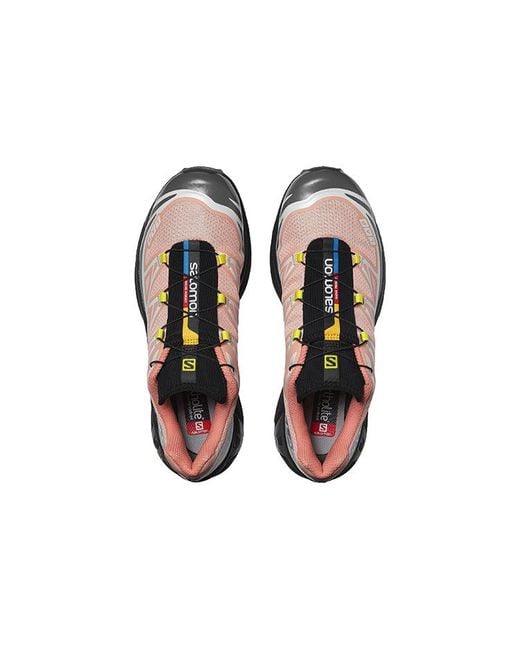 Salomon Brown Xt-6 Series for men