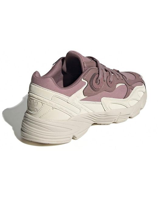 Adidas Brown (Wmns) Astir Bliss'