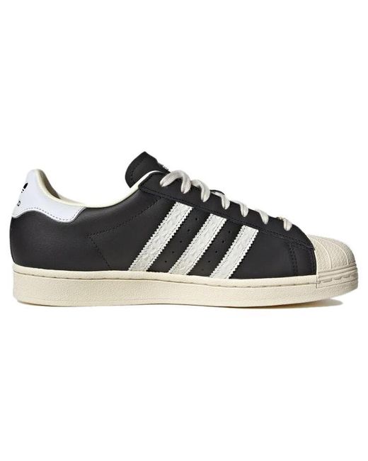 Adidas Blue Originals Superstar for men