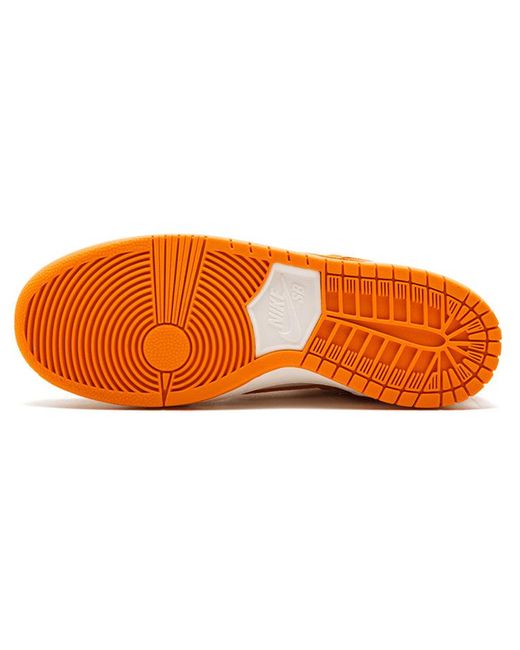 Nike Orange Zoom Sb Dunk Low Pro 'Circuit' for men