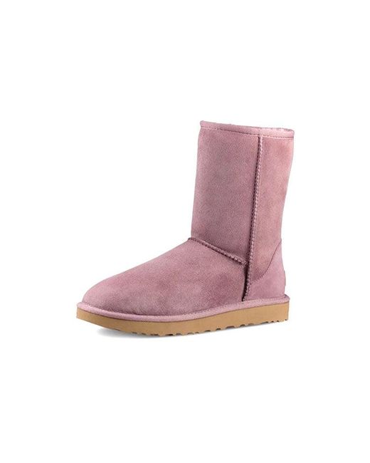 Ugg Purple (Wmns) Classic Short Ii