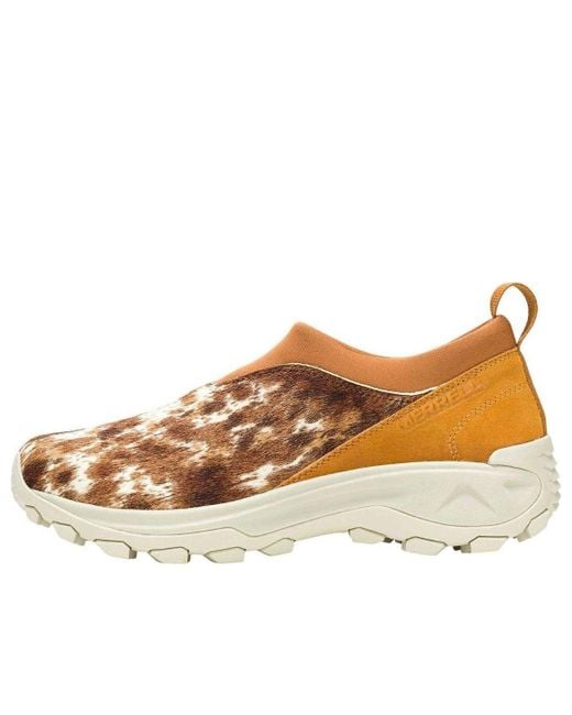 Merrell Brown Winter Moc 3 Ch Se 'Spice' for men
